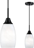 Matte Black Oval Handblown Glass Mini Pendant Light